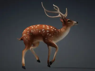 Deer-C2 3D model