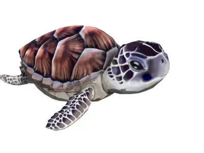 sea turtle Low-poly 3D model