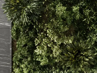 Plants set partition - Vertical Wall Garden With marble f 104 3D model