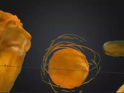  serpens et leo 3D model