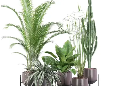 Plants collection 001 3D model