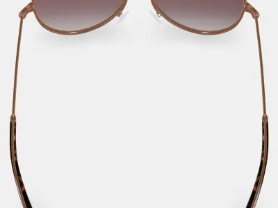 Raider Sunglasses in Rose Gold 3D model