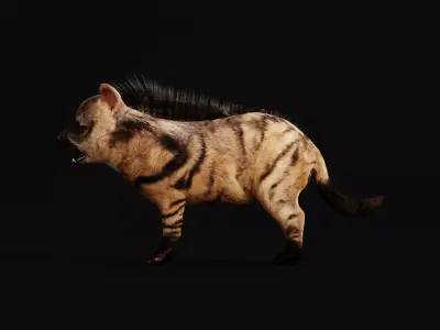 Baby Aardwolf Offspring Animal  Low-poly 3D model