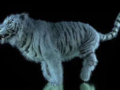 Raja The White Bengal Tiger 3D Model 3D model