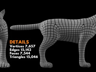 Animal Basemesh Pack - 13 base meshes 3D model