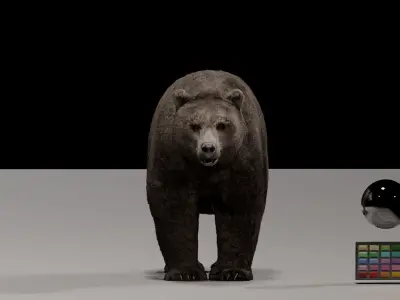 Bear - Rigged Blender 3d model 3D model