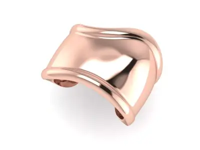 Bone Bracelet Size 17 3D print model