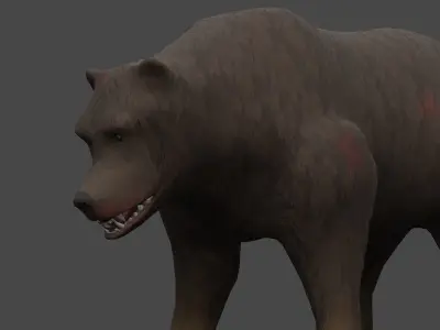 Grizzly Bear Low-poly 3D model 2
