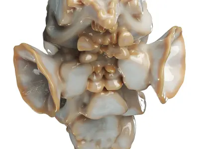 Decorative conch Low-poly 3D model