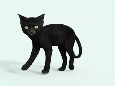 Realistic 3D Black  Kitten Rigged 3D model