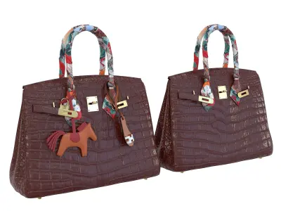 Hermes Birkin Red Crocodile Bag with accessories Low-poly 3D model