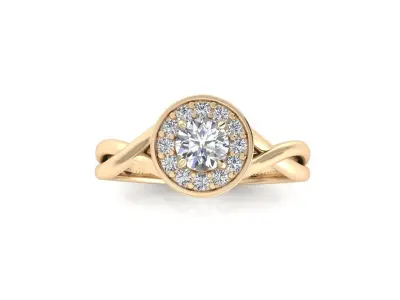 Ring 163 3D print model