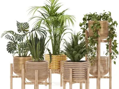 Plant-Collection-01 three wooden planters Free 3D model