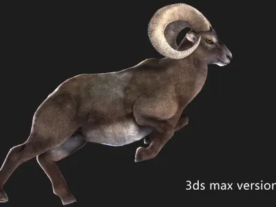 rigged goat ram sheep  Low-poly 3D model