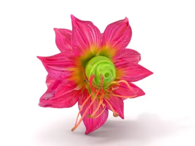 Vibrant Floral Blossom model pack Low-poly 3D model