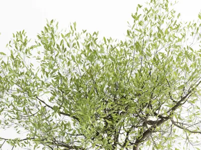 Tree branch in a concrete vase bouquet 27 Low-poly 3D model