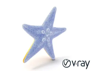 Starfish Natural Color Detailed Shape model pack Low-poly 3D model