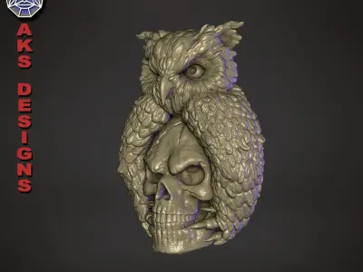 Skull and owl v1 Bas relief for home decoration 3D print model