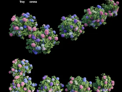 Hydrangea Plant set 26 3D model
