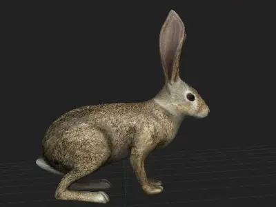 Rabbit Highpoly in grassy field 3D model