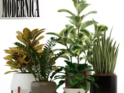 Plants collection 75 Modernica pots 3D model