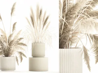 Beautiful bushes pampas grass for decoration in pots 1289 3D model