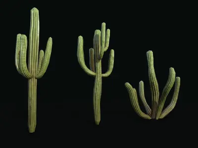 Stylized cactus large low poly  Low-poly 3D model