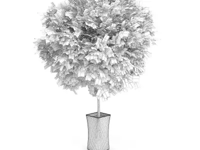 Small Tree in White Pot 3D model