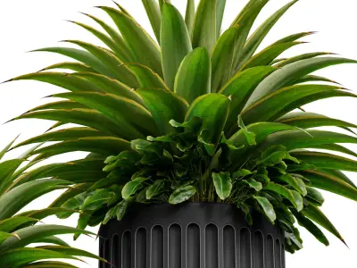Decorative tropical plant Agave in a modern vase urn set 3D model