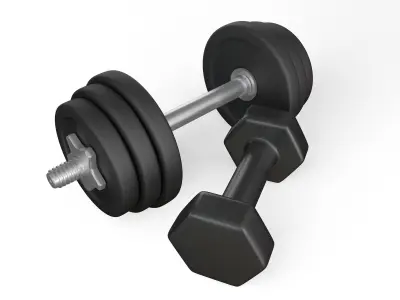 Dumbbells 3D model