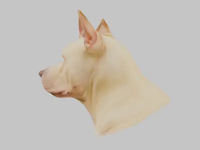 Pitbull Terrier Dog Head Bust Low-poly 3D model