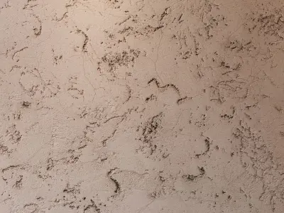 872 stucco Texture