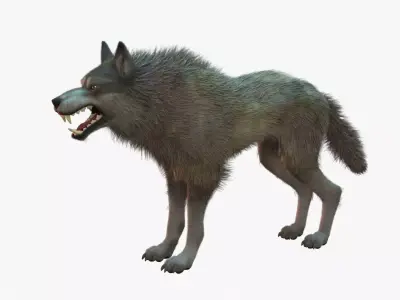 Wolf Rigged 3D model