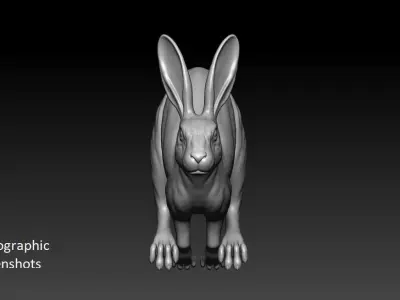 Rabbit Running 3D print model