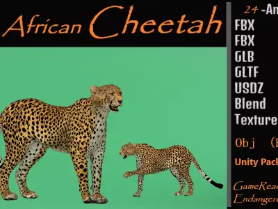 South African Cheetah Low-poly 3D model