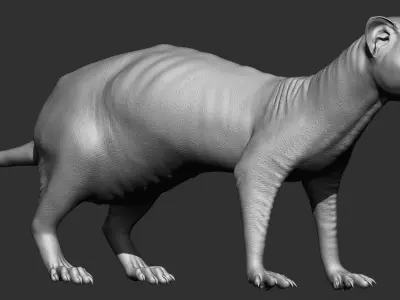 VFX Ready ferret 3d model  3D model
