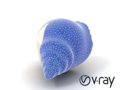 Natural Seashell Scalloped Edge Model Pack Low-poly 3D model