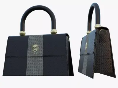 Stylish High-Detail Ladies Handbag 3D model