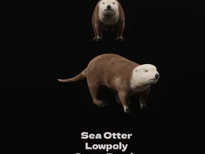 Sea Otter Mammal  Low-poly 3D model