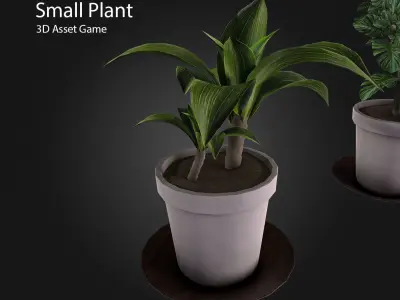 Small Plant Low-poly 3D model