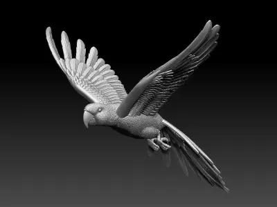 parrot flying in air 3D print model
