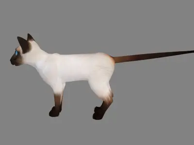 Cartoon siamese cat Low-poly 3D model