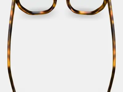 Tobias Eyeglasses in Woodgrain Tortoise Matte 3D model