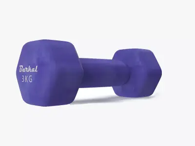 Dumbell-3kg 3D model