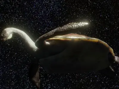 Turtle Low-poly 3D model