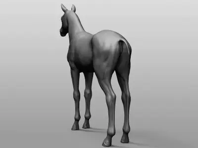 Domestic Baby animal collection 3D model