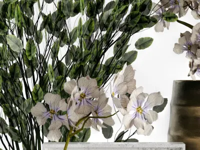 decoration 71 3D model