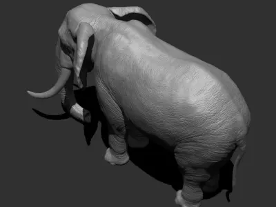 Elephant Low-poly 3D model