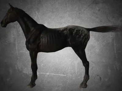 Horse - Famine No Gear 3D model