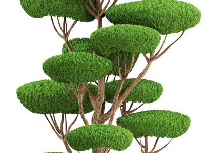 bonsai tree 3D model